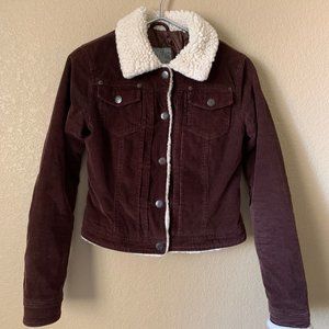 BB Dakota Brown Corduroy Jacket Size XS